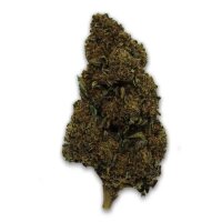HHC Blüten Cheese