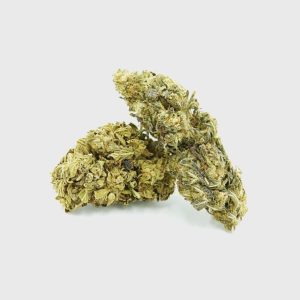 🍋 Lemon King - Power LVL 5/5