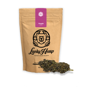 Purple Haze Ökopack